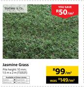 Jasmine Grass-Per Sqm