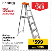 Badger 6 Step Aluminium Ladder