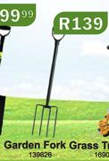 Garden Fork Grass 139826