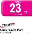 Trojan 1kg Spray Painted Plate
