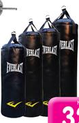 Everlast Punch Medium Bag
