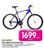 Raleigh 29er Alpine Mountain Bike
