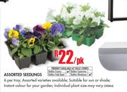 Assorted Seedlings-Per Pack