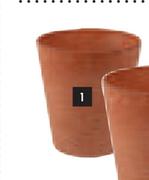 Claire Terracota 8m Pot