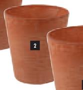 Claire Terracota 10cm Pot