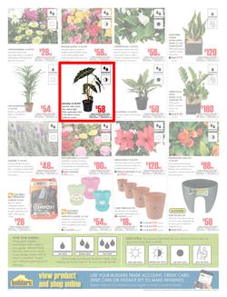 Builders Inland : Dig It This Spring (29 Aug - 8 Oct 2017), page 2