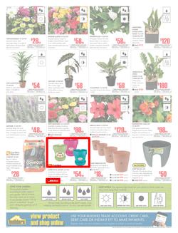 Builders Inland : Dig It This Spring (29 Aug - 8 Oct 2017), page 2