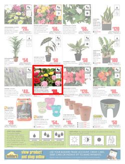 Builders Inland : Dig It This Spring (29 Aug - 8 Oct 2017), page 2