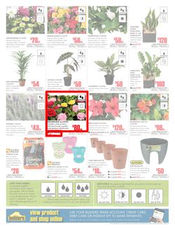 Builders Inland : Dig It This Spring (29 Aug - 8 Oct 2017), page 2