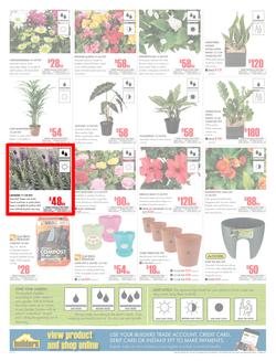 Builders Inland : Dig It This Spring (29 Aug - 8 Oct 2017), page 2