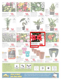 Builders Inland : Dig It This Spring (29 Aug - 8 Oct 2017), page 2
