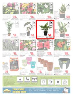Builders Inland : Dig It This Spring (29 Aug - 8 Oct 2017), page 2