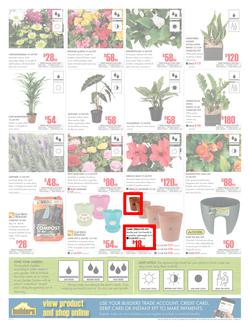 Builders Inland : Dig It This Spring (29 Aug - 8 Oct 2017), page 2