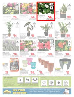 Builders Inland : Dig It This Spring (29 Aug - 8 Oct 2017), page 2