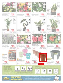 Builders Inland : Dig It This Spring (29 Aug - 8 Oct 2017), page 2