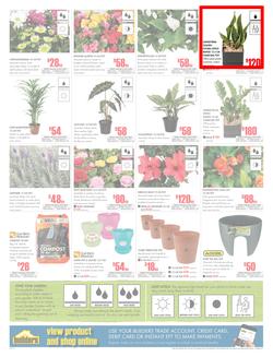 Builders Inland : Dig It This Spring (29 Aug - 8 Oct 2017), page 2