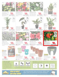 Builders Inland : Dig It This Spring (29 Aug - 8 Oct 2017), page 2