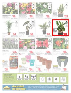 Builders Inland : Dig It This Spring (29 Aug - 8 Oct 2017), page 2