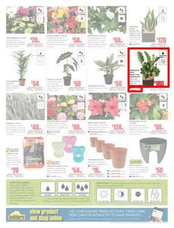 Builders Inland : Dig It This Spring (29 Aug - 8 Oct 2017), page 2
