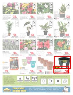 Builders Inland : Dig It This Spring (29 Aug - 8 Oct 2017), page 2