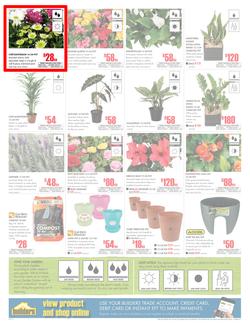 Builders Inland : Dig It This Spring (29 Aug - 8 Oct 2017), page 2