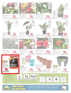 Builders Inland : Dig It This Spring (29 Aug - 8 Oct 2017), page 2