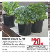 Assorted Herbs 12cm Pot-Each