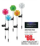 Solar Flair Mini Pom Pom-Each