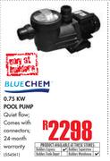 Blue Chem 0.75KW Pool Pump