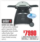 Weber Q3000 Gas Grill