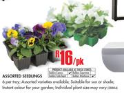 Assorted Seedlings-Per Pack