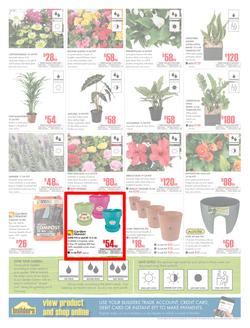Builders KwaZulu-Natal : Dig It This Spring (29 Aug - 8 Oct 2017), page 2