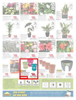 Builders KwaZulu-Natal : Dig It This Spring (29 Aug - 8 Oct 2017), page 2