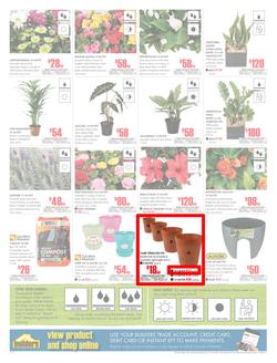 Builders KwaZulu-Natal : Dig It This Spring (29 Aug - 8 Oct 2017), page 2