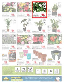Builders KwaZulu-Natal : Dig It This Spring (29 Aug - 8 Oct 2017), page 2