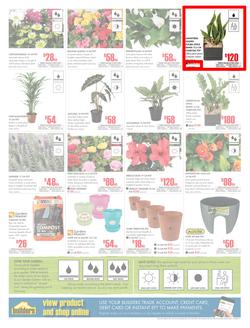 Builders KwaZulu-Natal : Dig It This Spring (29 Aug - 8 Oct 2017), page 2