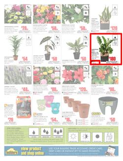 Builders KwaZulu-Natal : Dig It This Spring (29 Aug - 8 Oct 2017), page 2