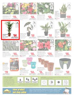 Builders KwaZulu-Natal : Dig It This Spring (29 Aug - 8 Oct 2017), page 2