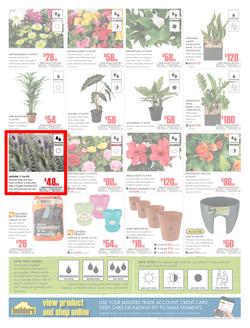 Builders KwaZulu-Natal : Dig It This Spring (29 Aug - 8 Oct 2017), page 2