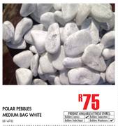 Polar Pebbles Medium White Bag 