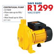 Centrifugal Pump 0.75Kw