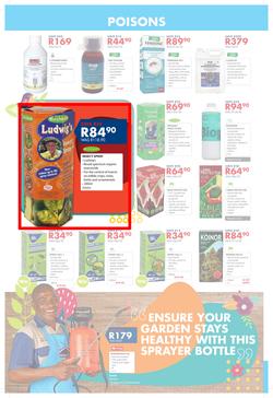 Chamberlains : Spring Is Here (23 Aug - 8 Sept 2019), page 6