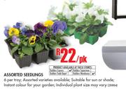 Assorted Seedlings-Per PK