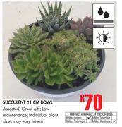Succulent 21cm Bowl