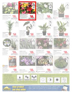 Builders Western Cape : Dig It This Spring (29 Aug - 8 Oct 2017), page 2