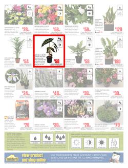 Builders Western Cape : Dig It This Spring (29 Aug - 8 Oct 2017), page 2