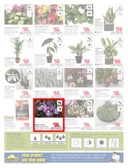 Builders Western Cape : Dig It This Spring (29 Aug - 8 Oct 2017), page 2