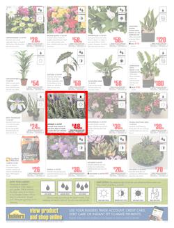Builders Western Cape : Dig It This Spring (29 Aug - 8 Oct 2017), page 2