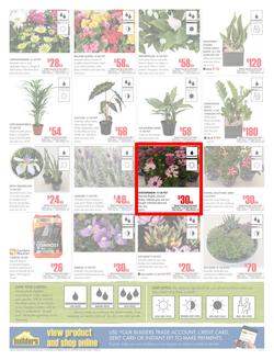 Builders Western Cape : Dig It This Spring (29 Aug - 8 Oct 2017), page 2