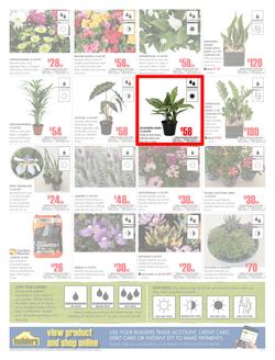 Builders Western Cape : Dig It This Spring (29 Aug - 8 Oct 2017), page 2